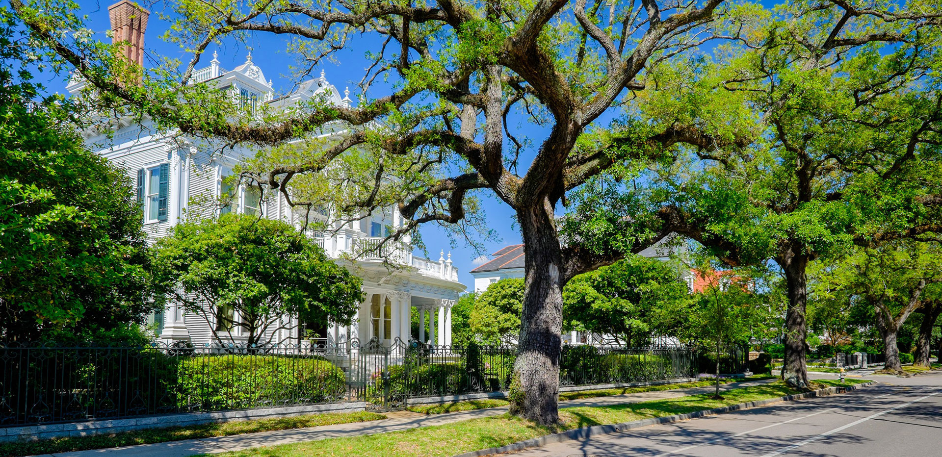Uptown New Orleans real estate — oak-lined streets and historic luxury homes near Audubon Park